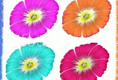 image jigsaw puzzle