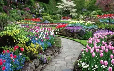 Butchart Garden Victoria Island  Canada