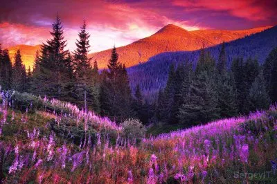 פאזל של Beautiful Sunset