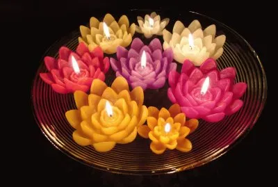 Flor de lÃ³tus