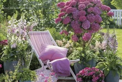 jardim