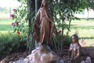 פאזל של natura