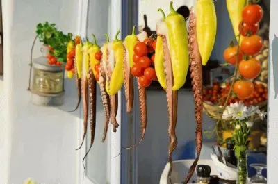 Octopus drying in the Sun