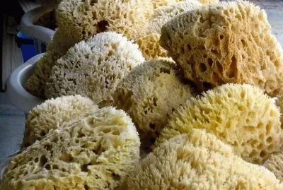Sponges  Rhodos jigsaw puzzle