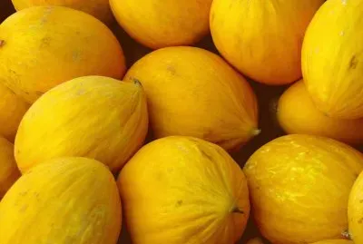 Melons