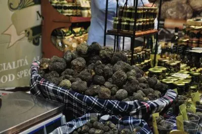 Enormus basket of truffles  Umbria  Italy