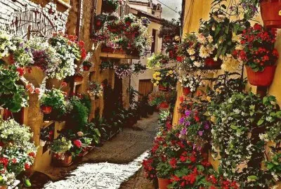 Wonderful alley in Spello  Umbria