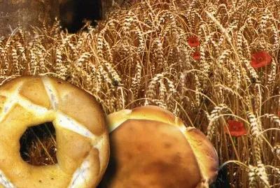 Aliments