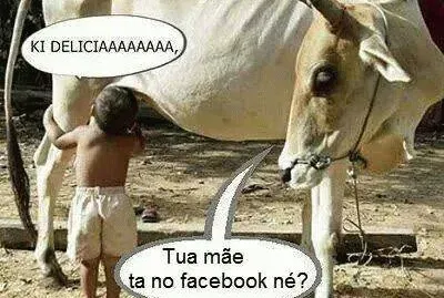 - facebook
