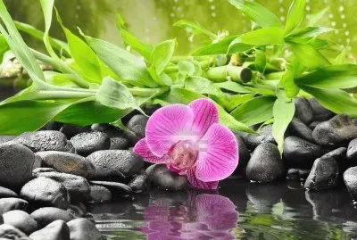 Beautiful Zen Refelecting Pond jigsaw puzzle