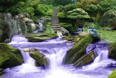 Zen Garden with Purple Rushing Water