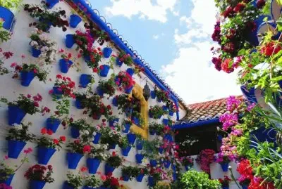 Patio  Cordoba  Spain