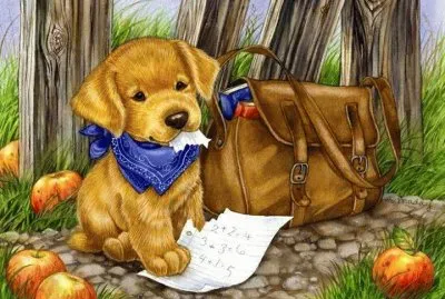 cÃ£ozinho