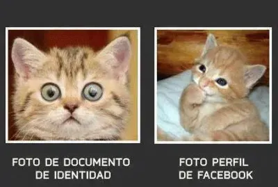 - foto de identidad