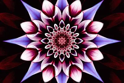 - mandala para o  signo de escorpiÃ£o