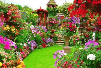 JARDÃN Y FLORES