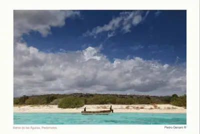 bahia de las aguilas