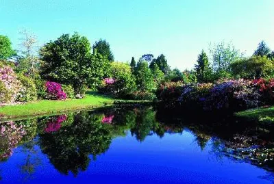 פאזל של Heritage Park-New Zealand