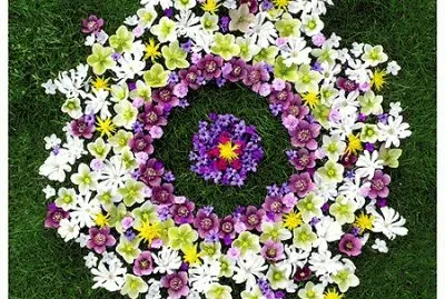 Color Rangolis