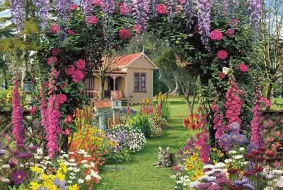 Colorful Flowers and House