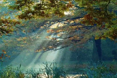 פאזל של lumiere