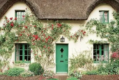 Rambling Roses Perthshire Scotland