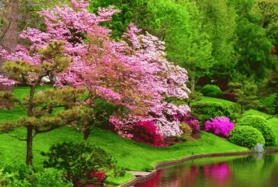nature