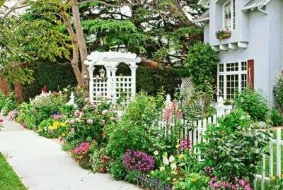 Frond-Yard Garden