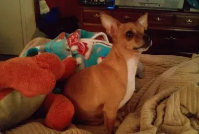 teena and julie and marti