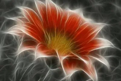 Fractal Flower