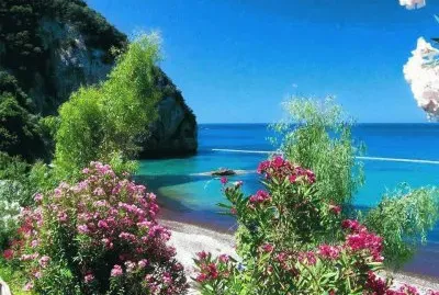 ile jigsaw puzzle