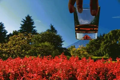 פאזל של - bom,(16)