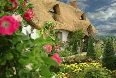 Cute Cottage