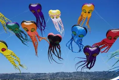 Berkeley Kite Festival