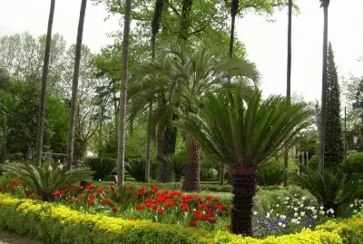 Jardins
