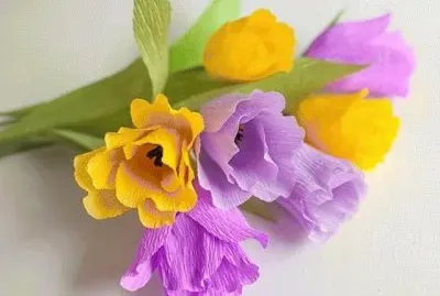 Crepe paper Flowers