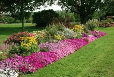 פאזל של jardim