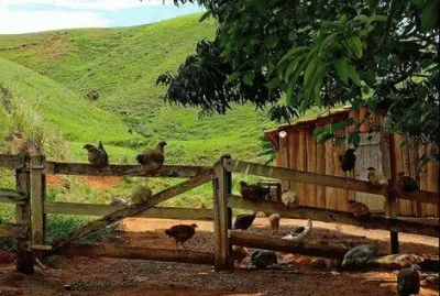 - ta na hora de dormir galera!