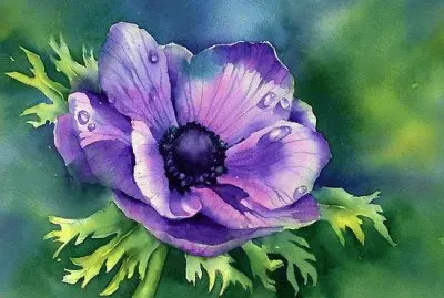 Purple Bloom