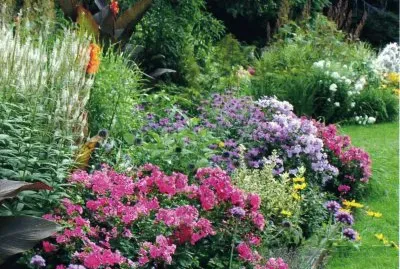 JardÃ¬