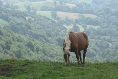 cheval