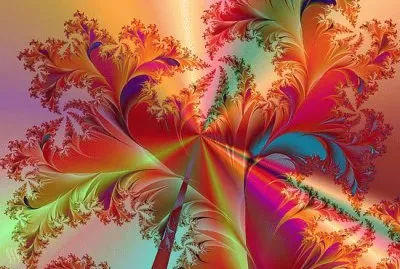 Tropical Feathers