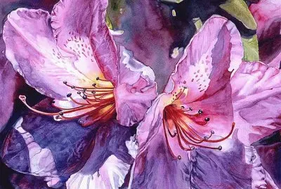 Azaleas