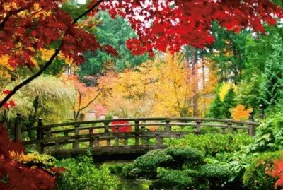 jardim