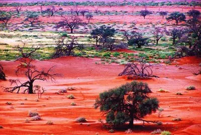 COLORES EN LA LLANURA