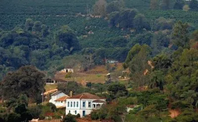 - fazenda de cafÃ© em Botelhos M.G