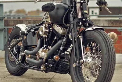 FaraÃ³n jigsaw puzzle