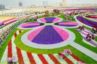 Miracle Garden  Dubai