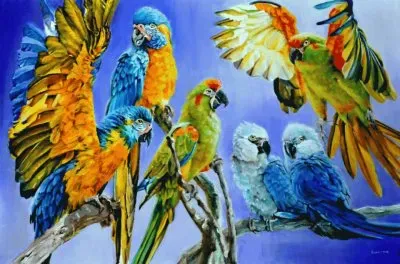 araras jigsaw puzzle