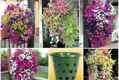 flores